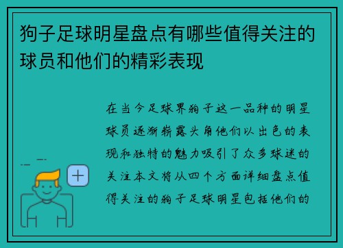 狗子足球明星盘点有哪些值得关注的球员和他们的精彩表现