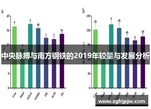 中央脉搏与南方钢铁的2019年较量与发展分析